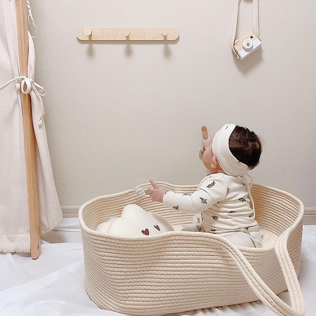 Ins Wind Nuovo cesto per bambi - Carriage Bed recensione e prezzo